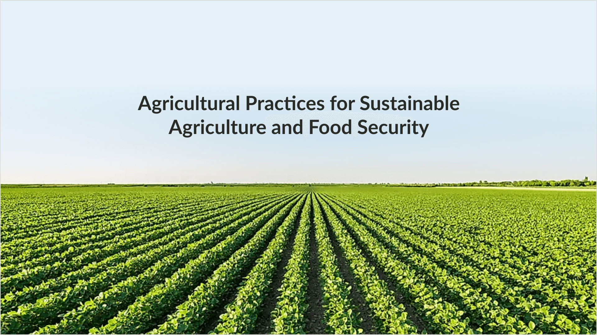 research on sustainable agriculture