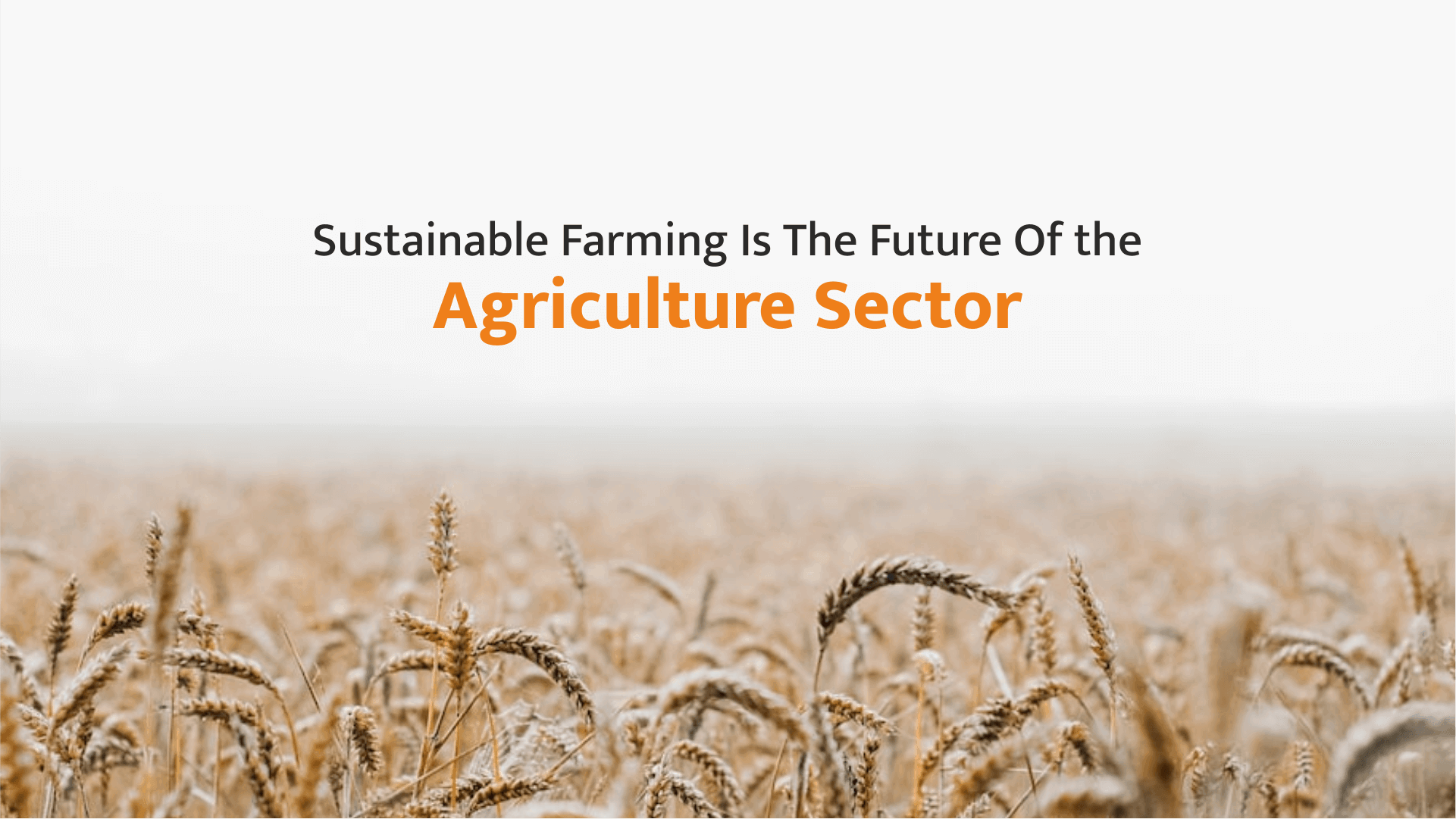 
		                       Sustainable Farming Is The Future Of the Agriculture Sector