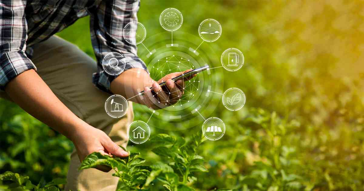 
		                       The Evolution of Agriculture Sector: Developments That Transformed