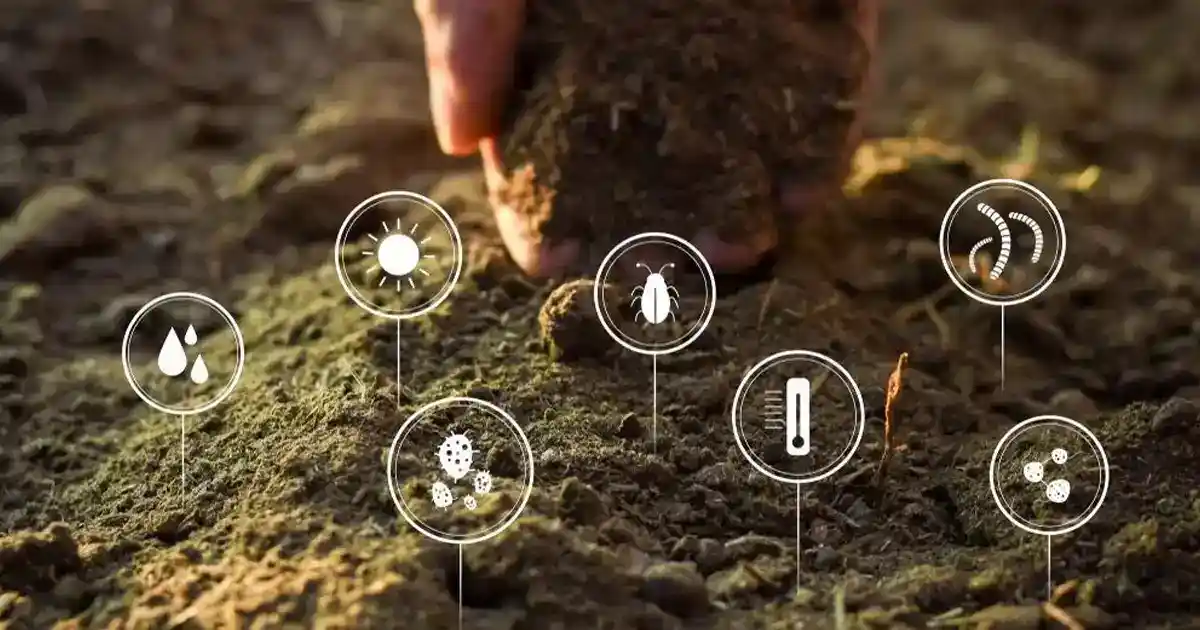 
		                       Digging Deep: Understanding Soil Microorganisms and their Impact