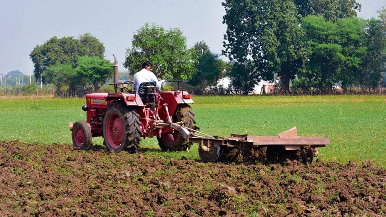 
		                       4 Ways Sustainable Farming Can Help The World